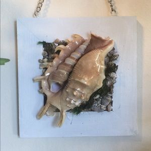 Seashells wall hanging decor